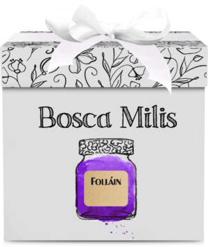 Stylish gift box with a jar illustration and "Bosca Milis" label representing a Folláin jam gift set