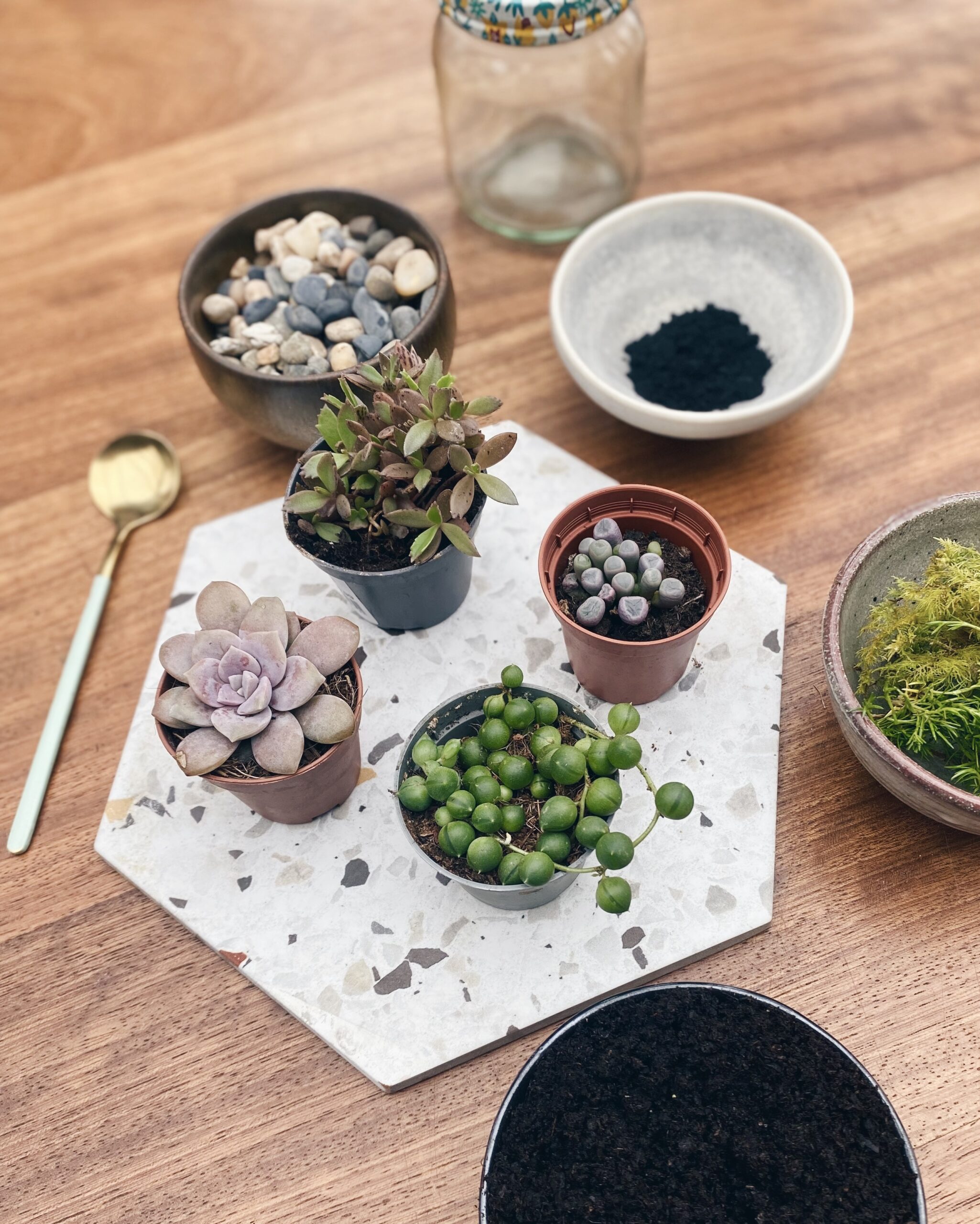 Photo of completed recipe for Homemade Terrarium